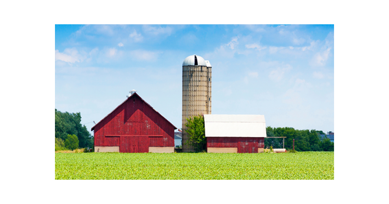 Image of farm.